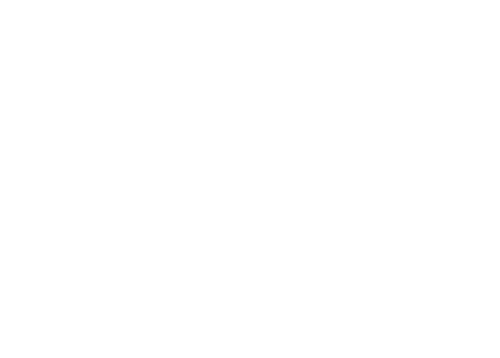 IBZ logo